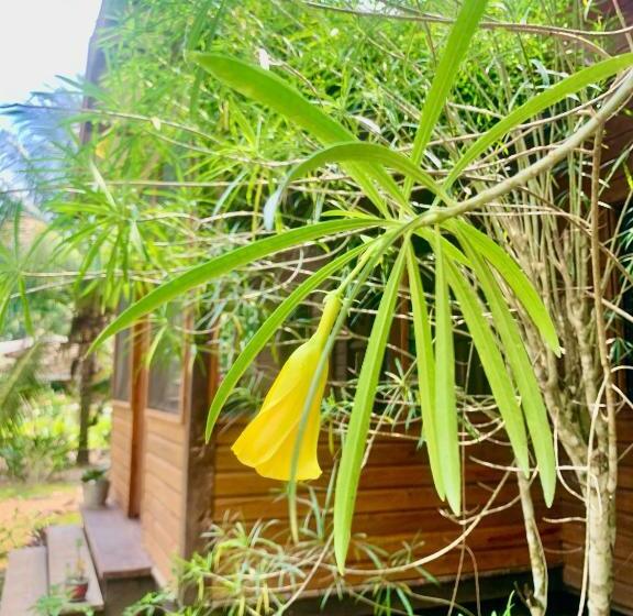 אתר נופש Sattva Land