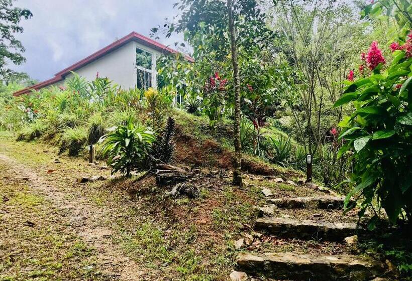 אתר נופש Sattva Land