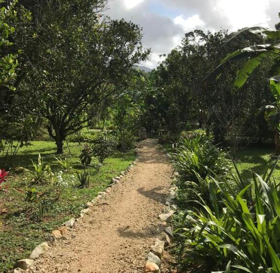 אתר נופש Sattva Land