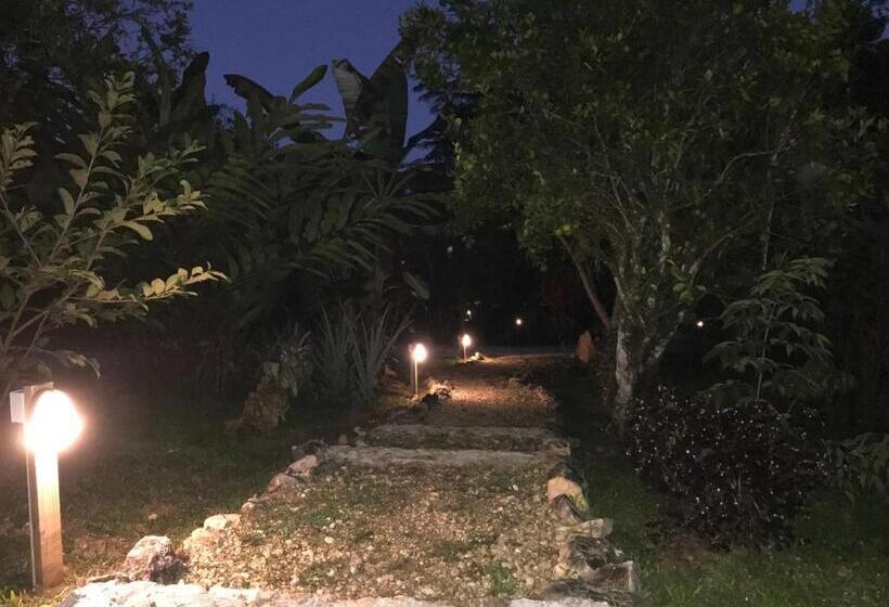 אתר נופש Sattva Land