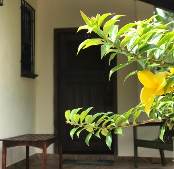 אתר נופש Sattva Land