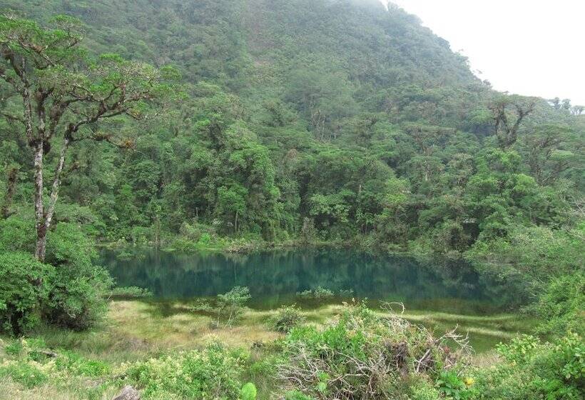 فندق صغير Rancho Amalia