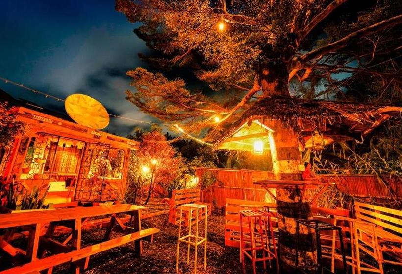 Banana Farm Eco Hostel