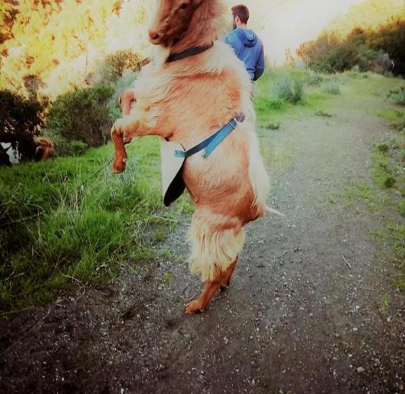 B&b The Lost Village El Acebuchal