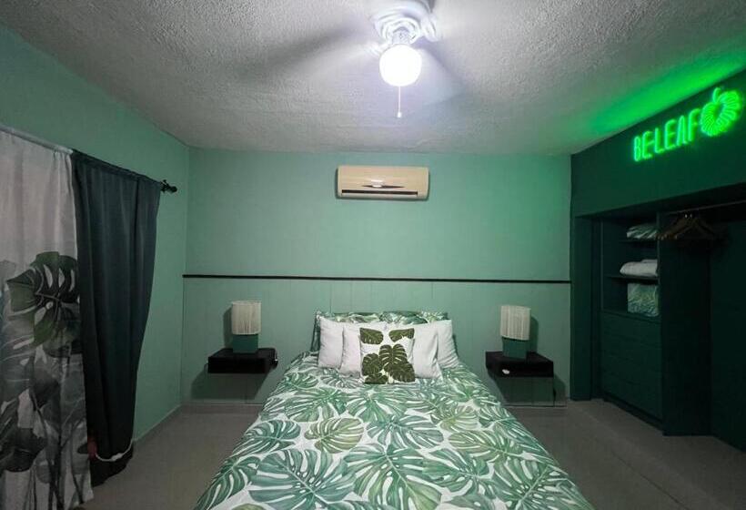 ベッドアンドブレックファースト Dici Co Living Housing Cabo San Lucas