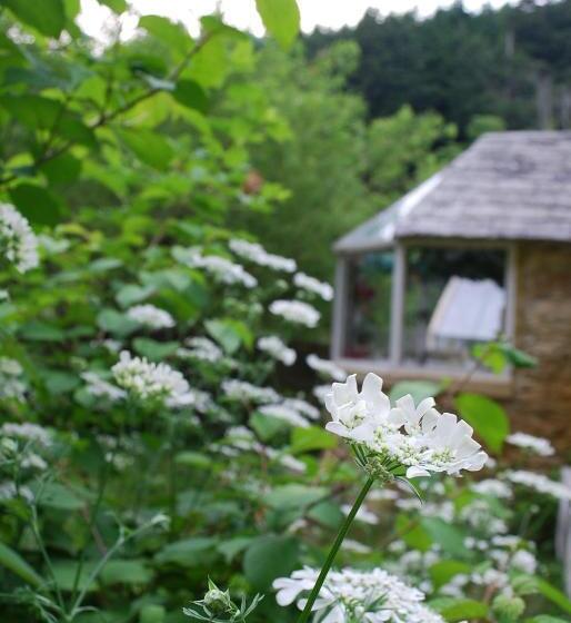 צימר Dreamton Village