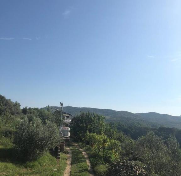 צימר Guest House Xhuljon