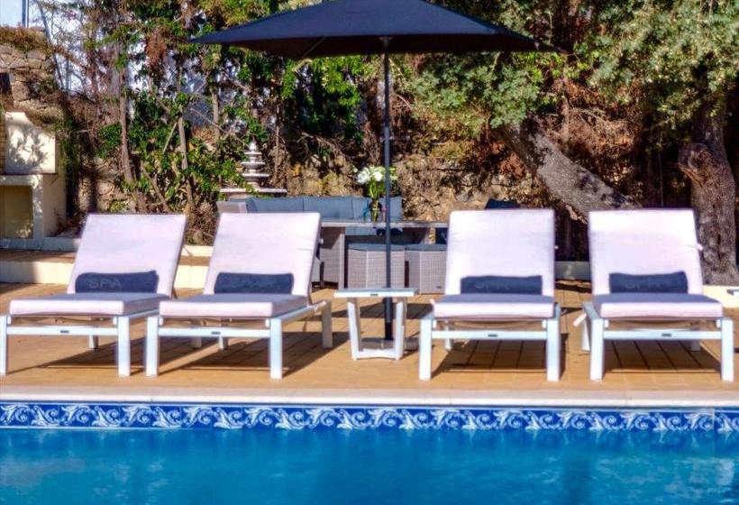 مبيت وإفطار Panoramic Paradise