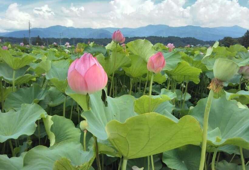 Pensione Guest House Hostel Yukuru