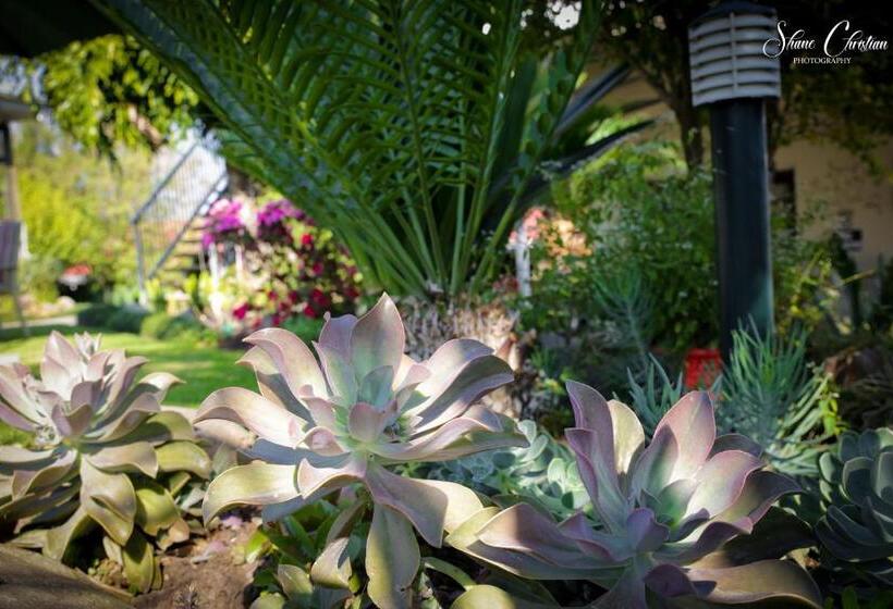 ペンション Twins Guesthouse No Load Shedding