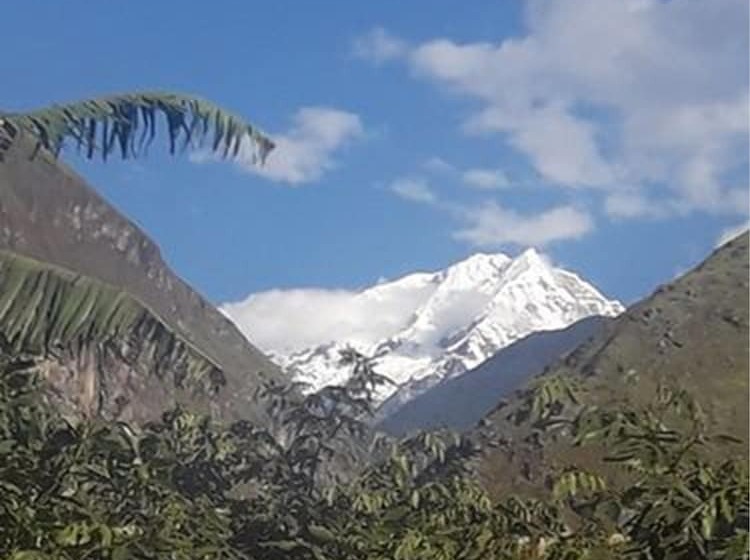 Отель Eco Hacienda Roman