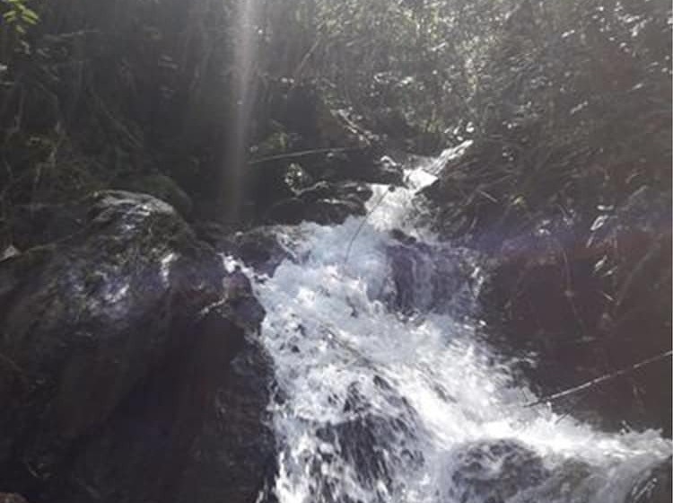 Отель Eco Hacienda Roman