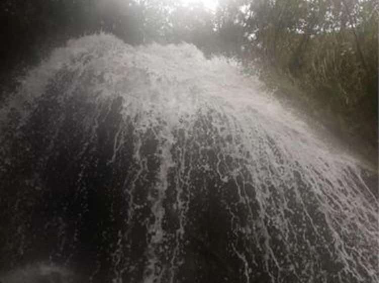 Отель Eco Hacienda Roman