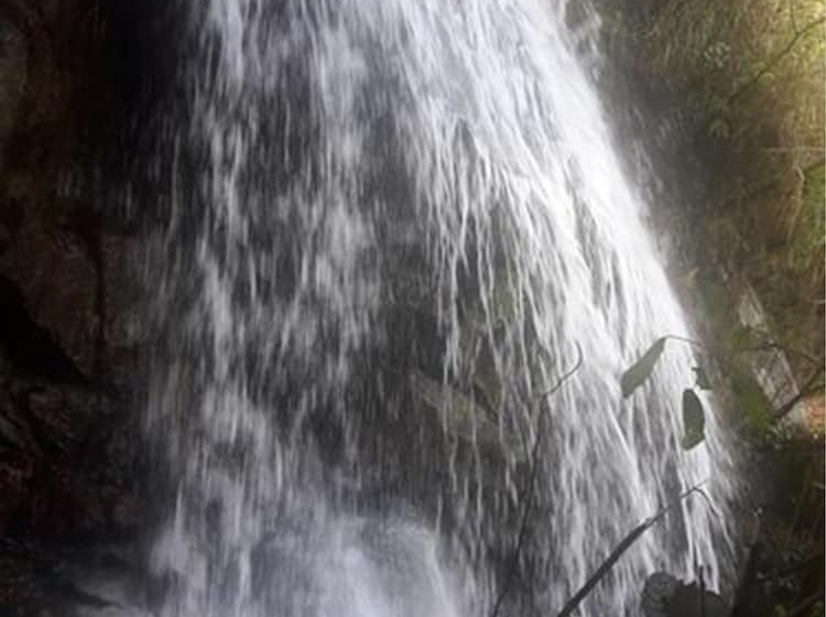 Отель Eco Hacienda Roman