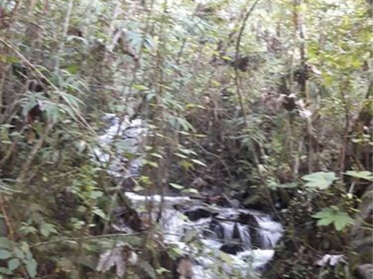 Отель Eco Hacienda Roman