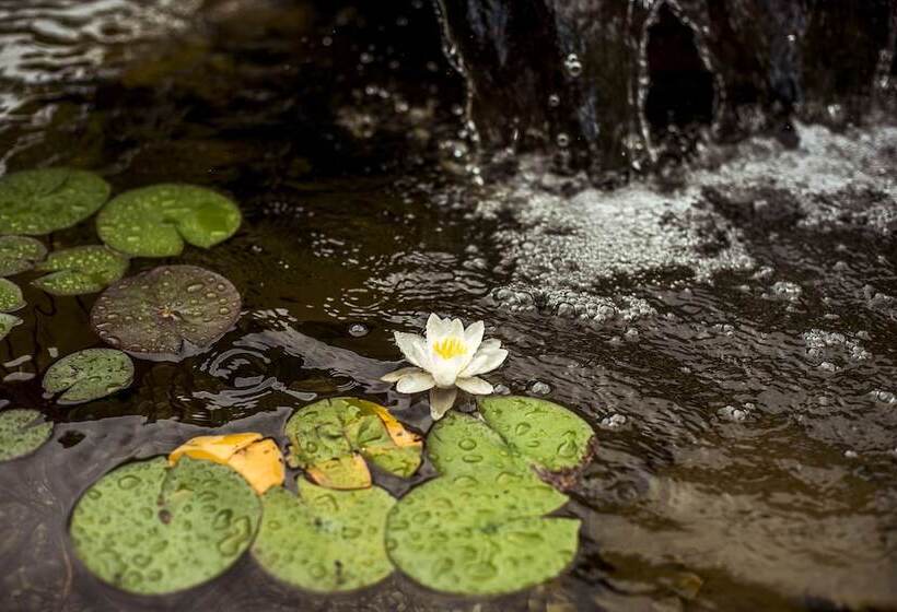 پانسیون Penzión & Wellness Meridiana Bojnice Rezort