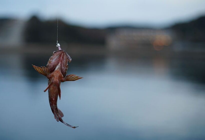 ریوکان Iki Retreat By Onko Chishin