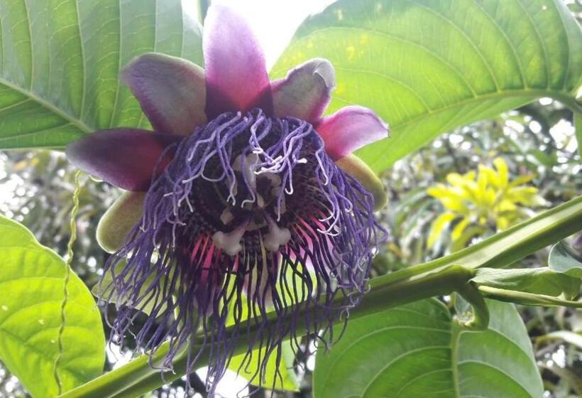 ユースホステル Montecarlos