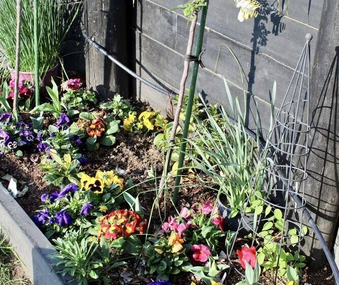 Arohanui Rural Retreat B&b