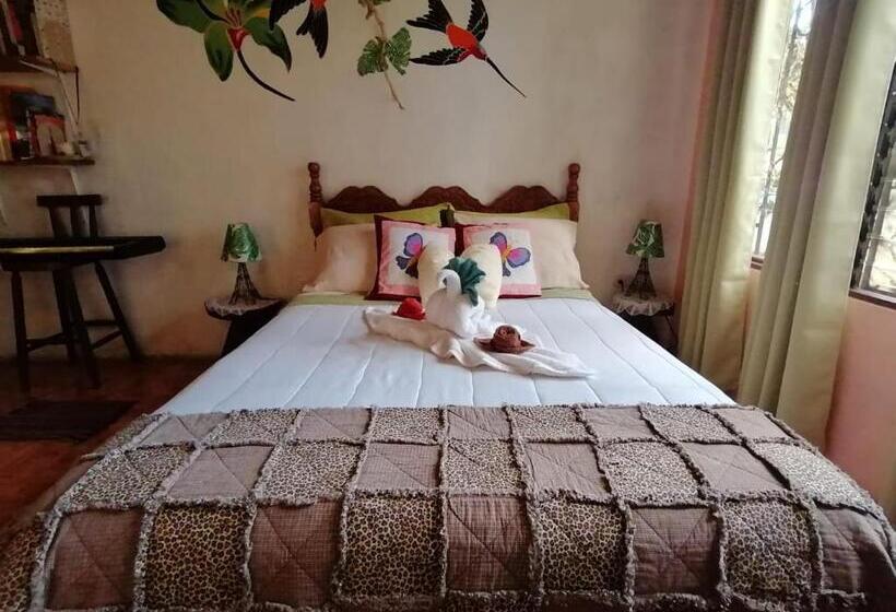 민박 Casa Copalchi