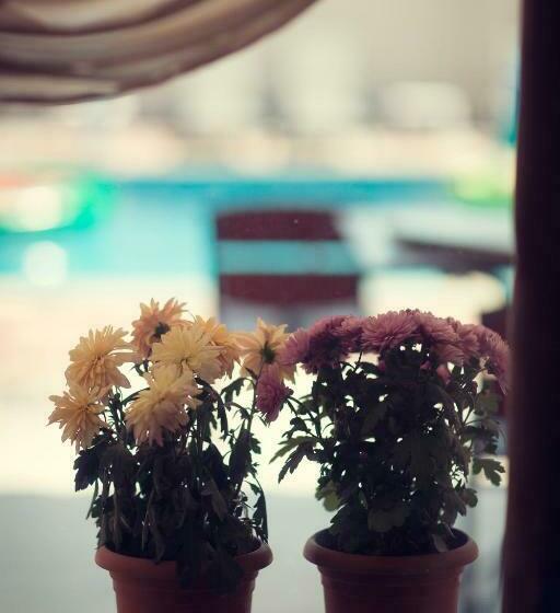 تختخواب و صبحانه Pawlonia Villa Kvareli