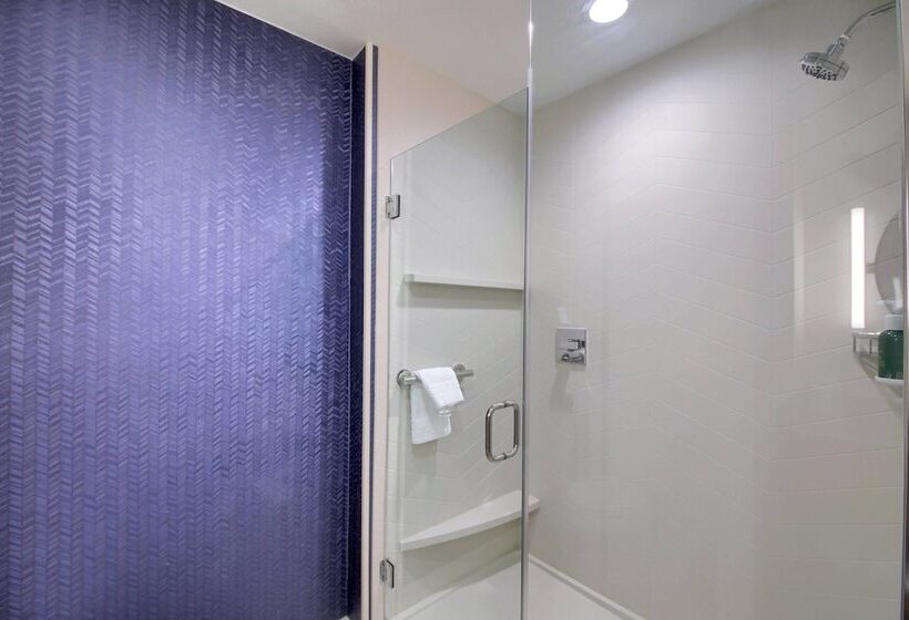 酒店 Fairfield Inn & Suites By Marriott Dallas Cedar Hill