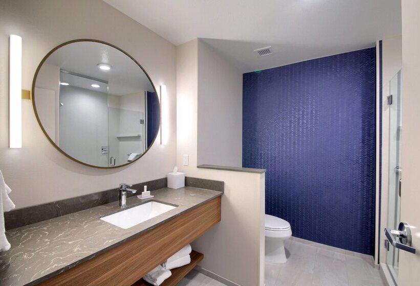 酒店 Fairfield Inn & Suites By Marriott Dallas Cedar Hill