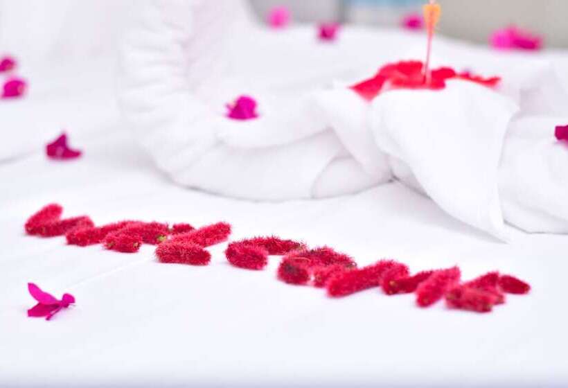 Отель Sea Crest