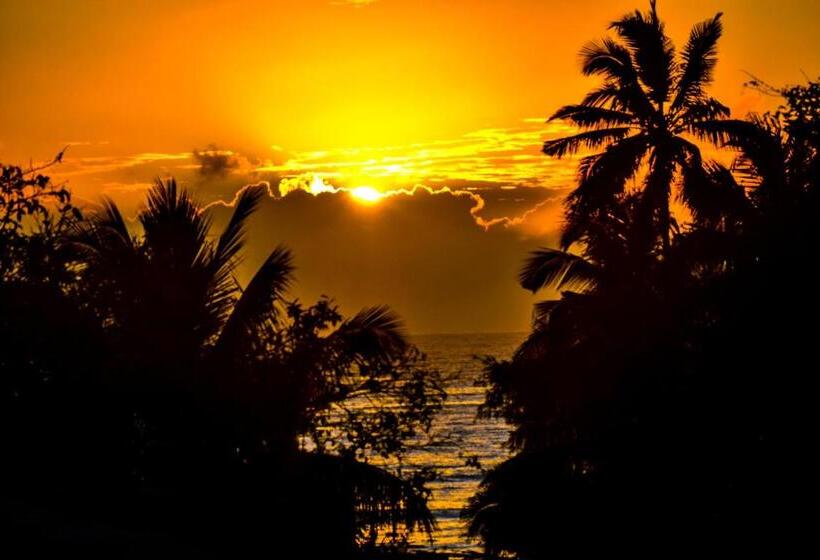 Отель Sea Crest