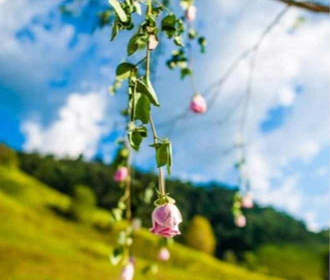 Отель Villas De Venecia