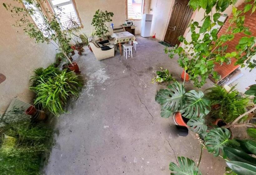 پانسیون La Vitalie Guest House