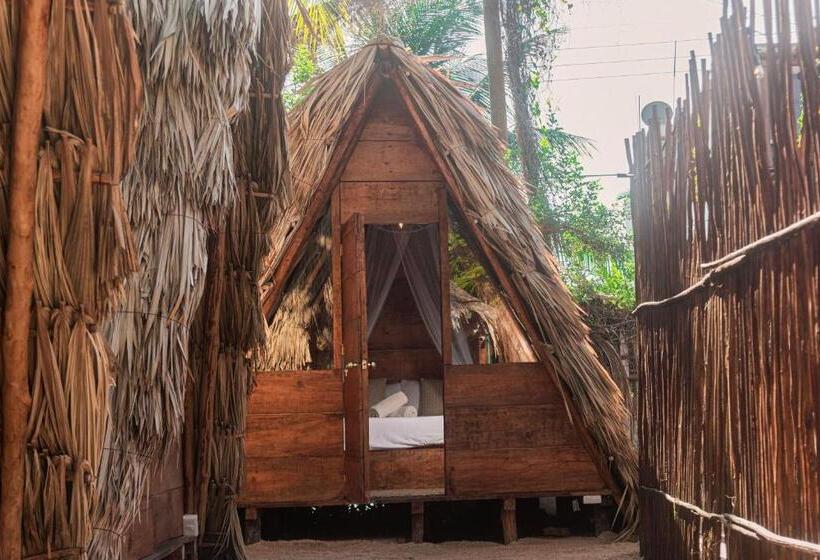 פנסיון Mapache Hostel & Camping