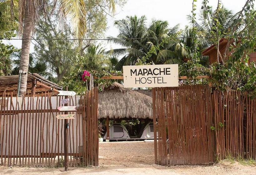 פנסיון Mapache Hostel & Camping
