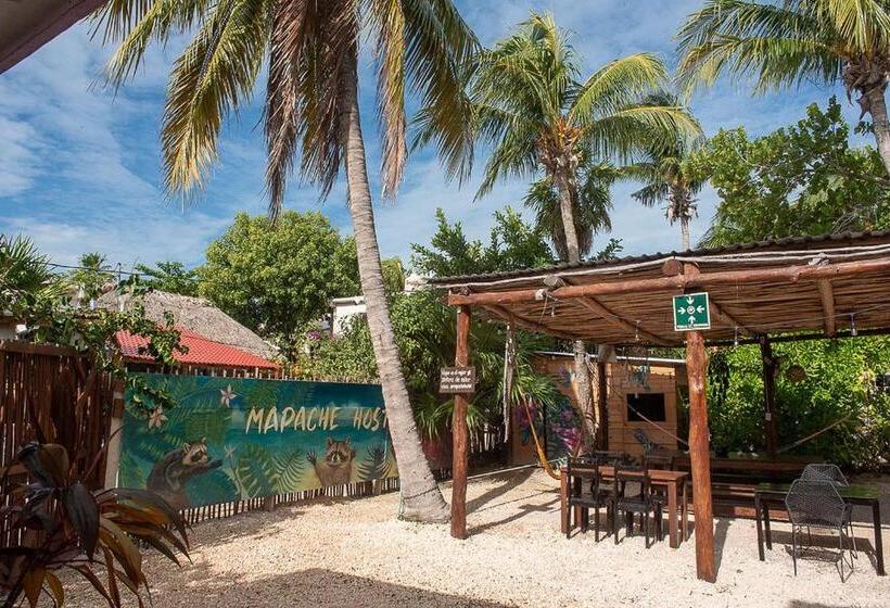 פנסיון Mapache Hostel & Camping