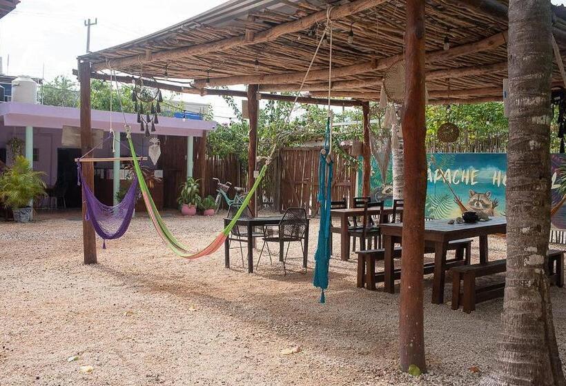 פנסיון Mapache Hostel & Camping