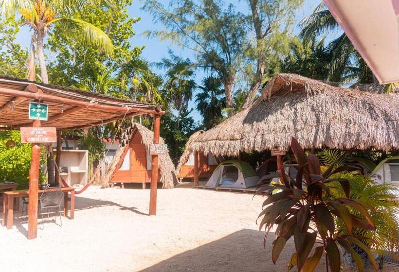 פנסיון Mapache Hostel & Camping