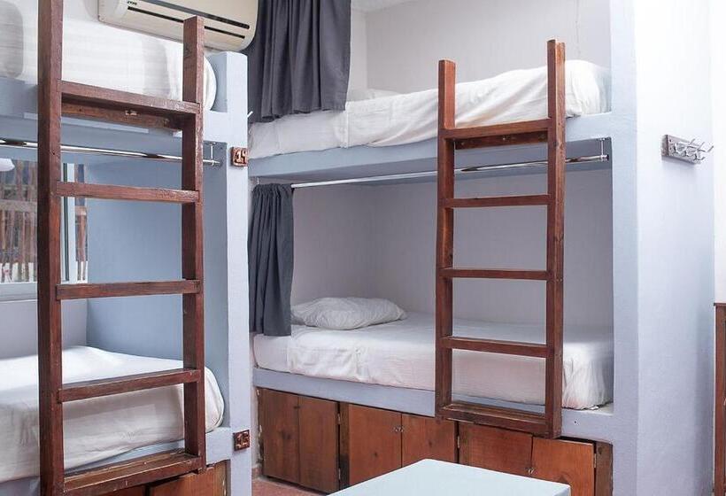 פנסיון Mapache Hostel & Camping