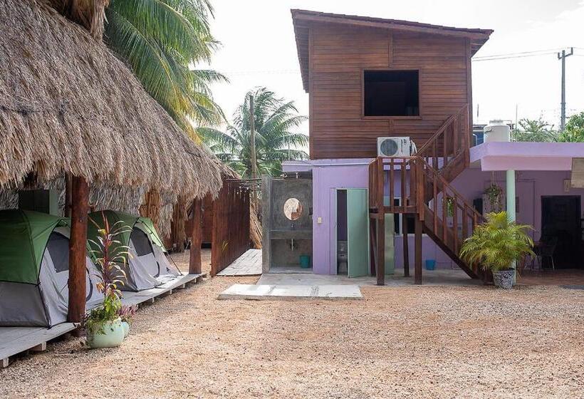 פנסיון Mapache Hostel & Camping