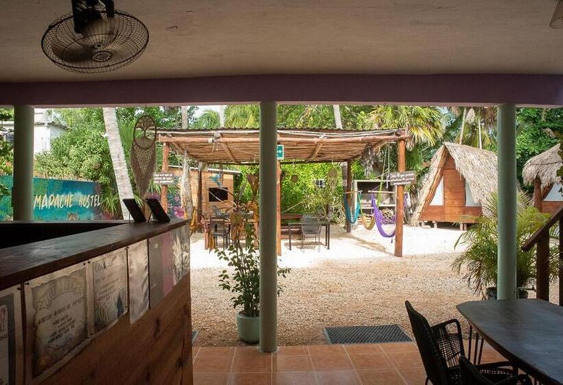 פנסיון Mapache Hostel & Camping