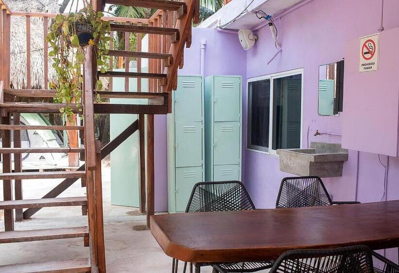 פנסיון Mapache Hostel & Camping