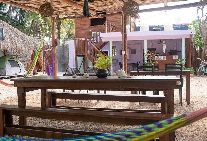 פנסיון Mapache Hostel & Camping