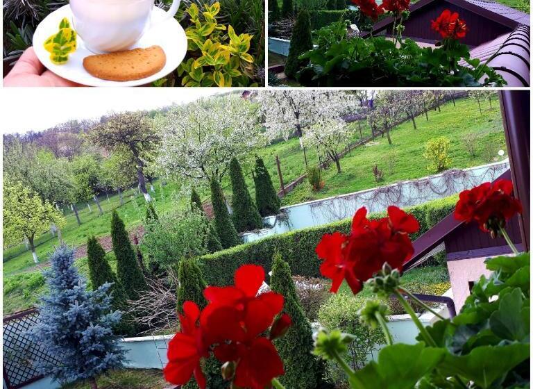 Пансион Silva House