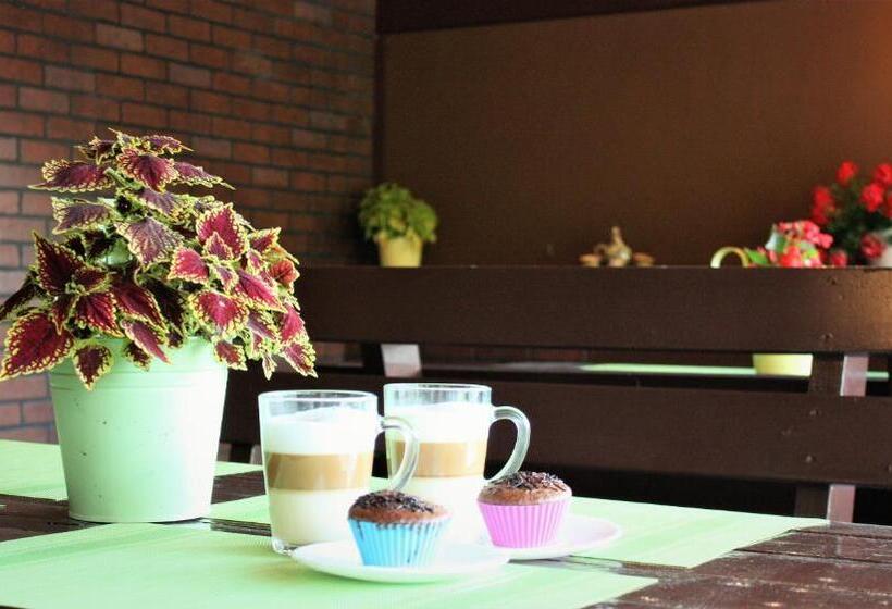 Пансион Silva House