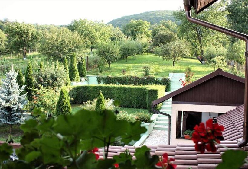 Пансион Silva House