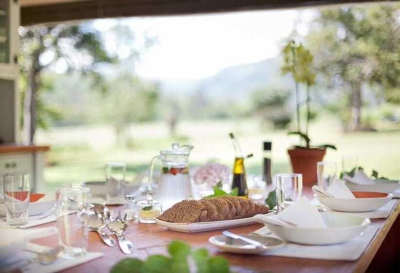 Пансион Twin Thorns Guesthouse