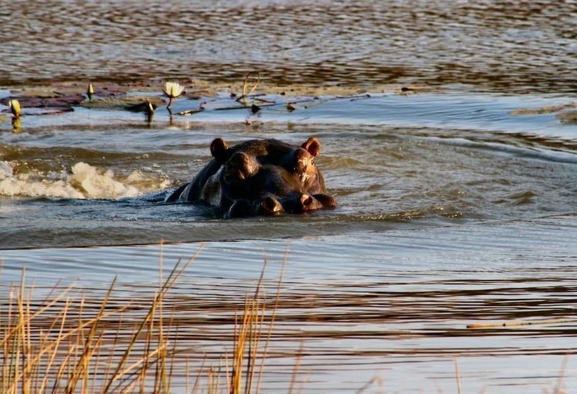 Пансион Twin Thorns Guesthouse