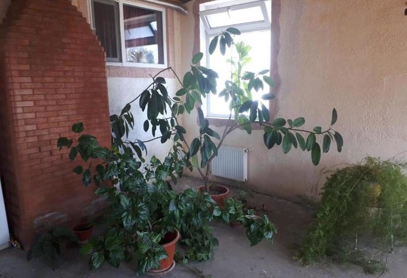 پانسیون La Vitalie Guest House