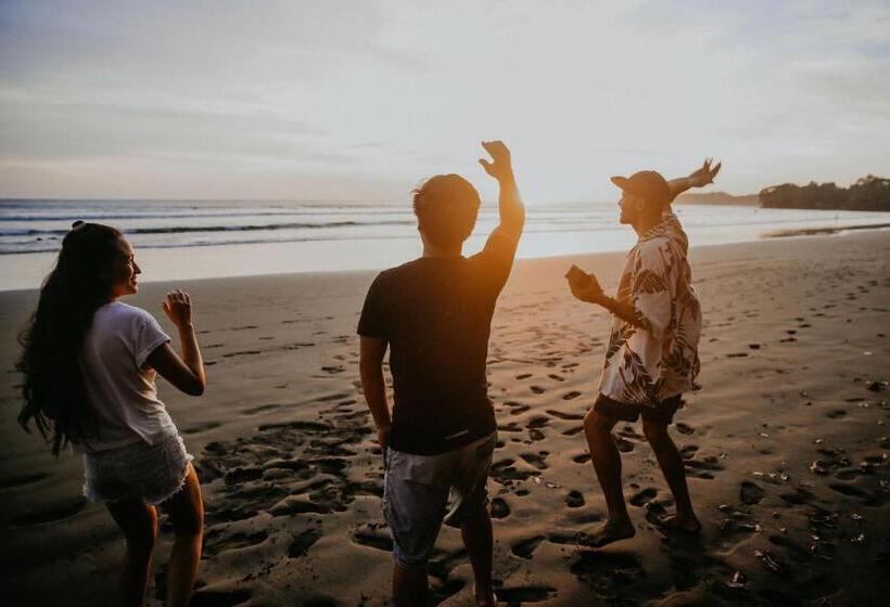 旅馆 Bodhi Santa Catalina