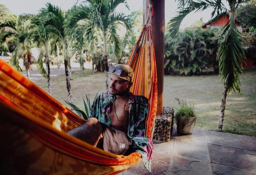 旅馆 Bodhi Santa Catalina