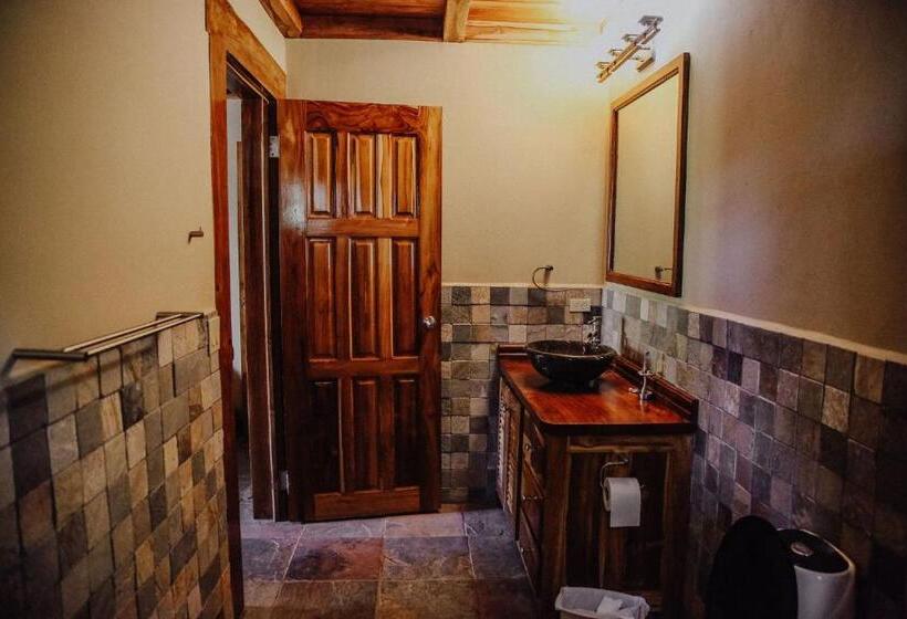 旅馆 Bodhi Santa Catalina